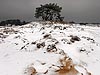 Kootwijkerzand in de sneeuw