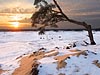 Sneeuw en zonsondergang op het Kootwijkerzand